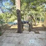 Pinus Village Fort Village