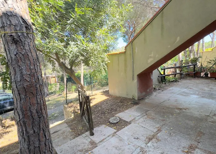 Apartman Pinus Village Fort Village