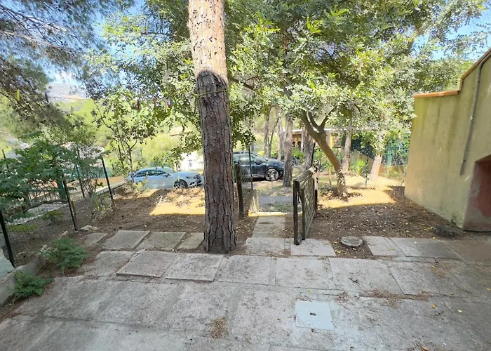 Pinus Village Fort Village